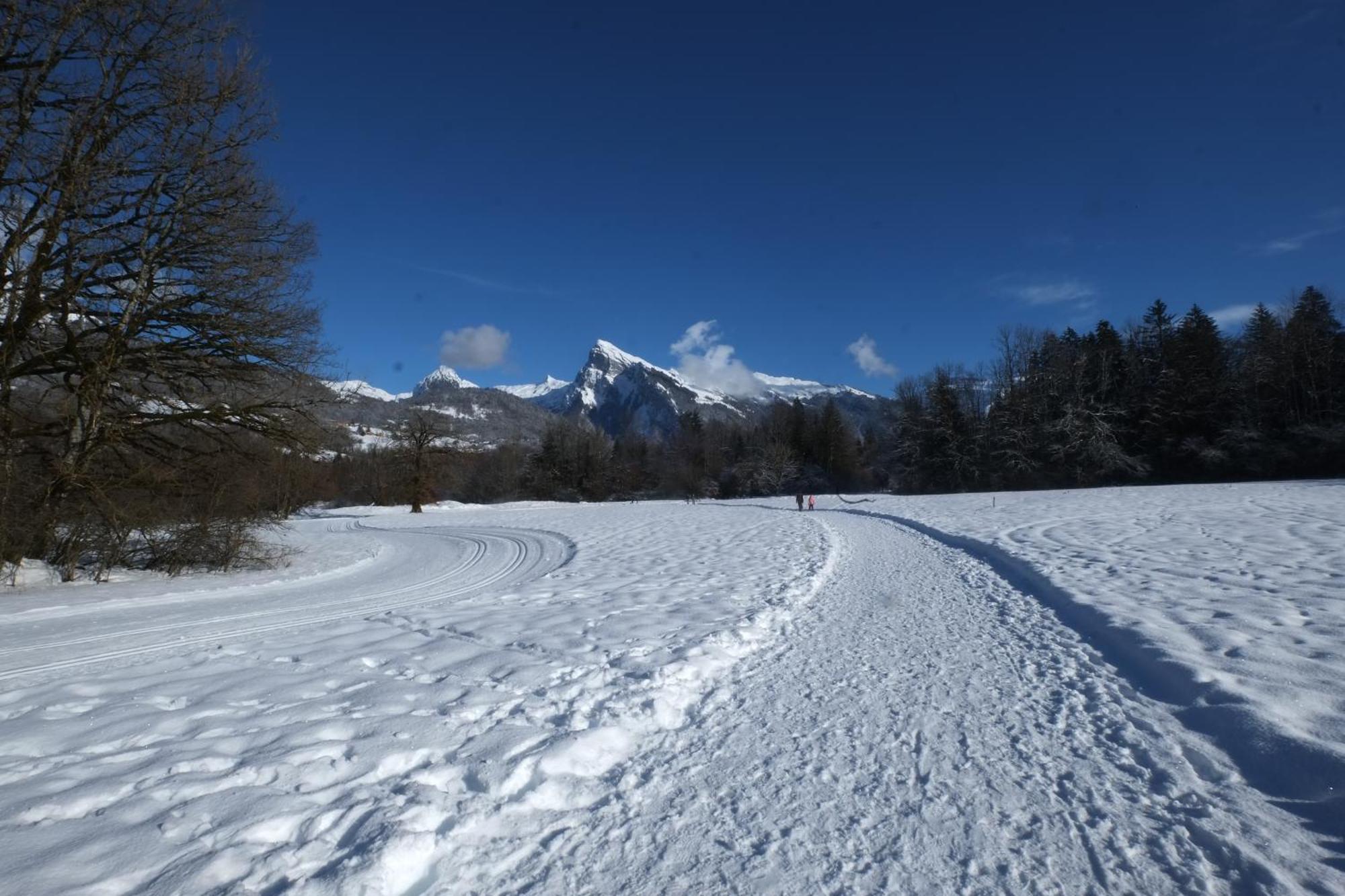 Particulier Loue 2 Appartements Communicants Dans Chalet A Samoens Jusqu A 16 Couchages Zewnętrze zdjęcie